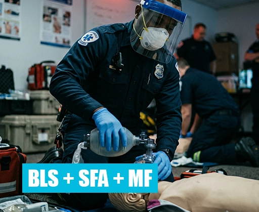 BLS + SFA + MF